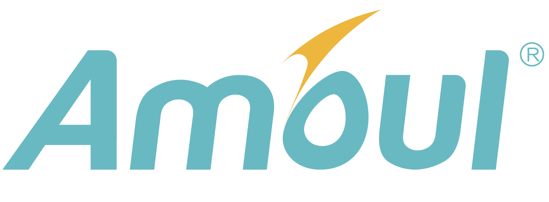sponsor logo - Amoul®